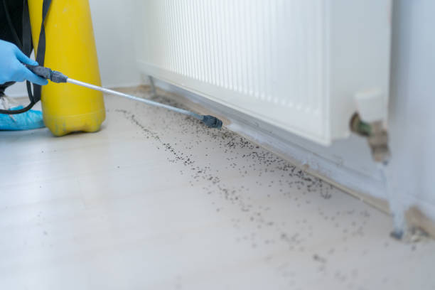 Pest Control for Restaurants in Caruthersville, MO